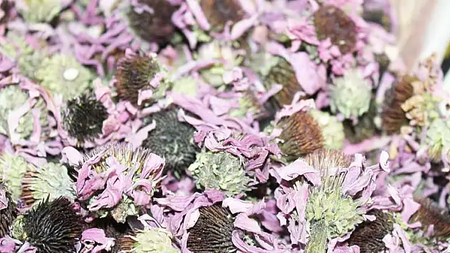 Kışın bitki çaylarıyla zinde olun