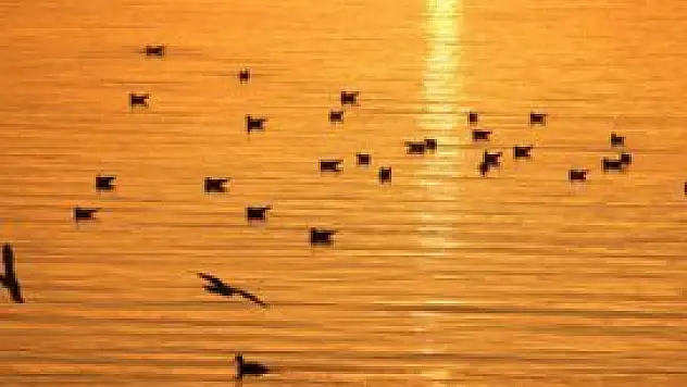 Beyşehir fotoğraflarla tanıtılacak!