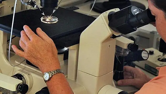 Isıya duyarlı yapay deri geliştirildi