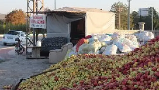 Döküntü elma alımları devam ediyor