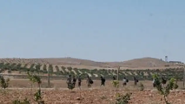 Sınırda kaçakçılara müdahale