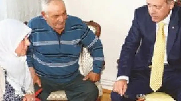 Artık şehit ağacına künye asılmıyor