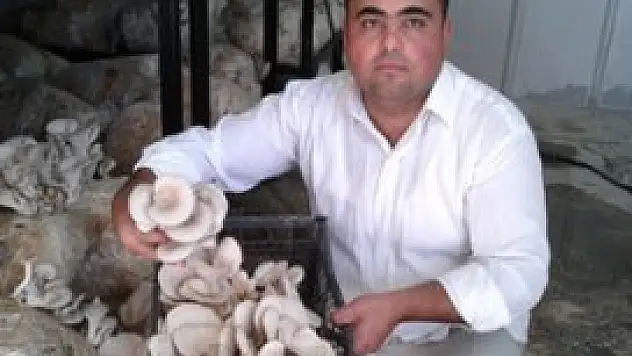 Kendi kurduğu tesiste mantar üretiyor