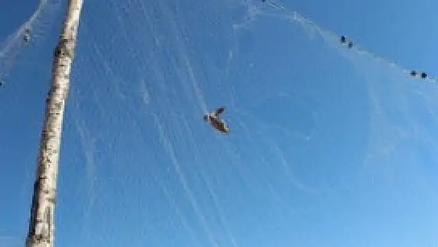 Atık ağlardan voleybol sahası