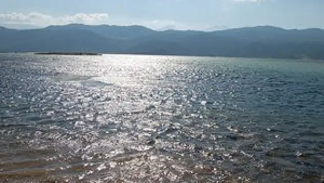 Soğuk sular Beyşehir Gölü'nün balıklarını tehdit ediyor