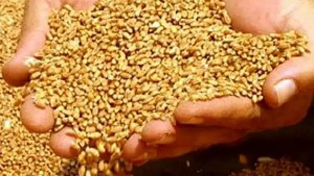 Konya'da hububat fiyatları