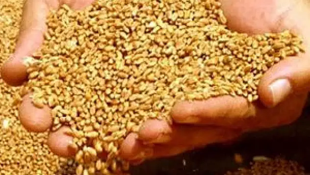 Konya'da hububat fiyatları