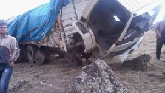 Park halindeki kamyon şarampole devrildi