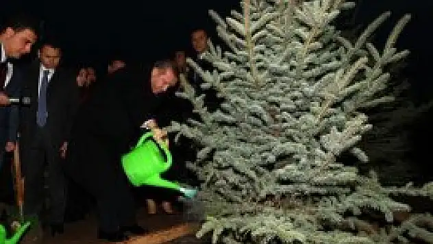 Erdoğan ağaç dikti