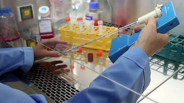 Kanser hücrelerinin yapışkanlık derecesi yayılma riskini gösterebilir