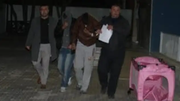 Doğmamış bebeğin beşiğini çaldılar!