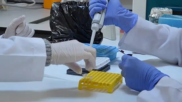 3D yazıcıyla suni embriyo üretildi