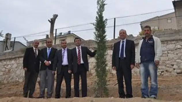 Hükümet Konağı arkası ağaçlandırıldı