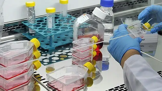 Yan etkisi olmayan ağrı kesici geliştirildi