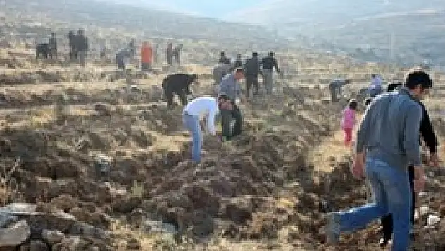 Konya'nın yeşil dokusuna sanayici katkısı