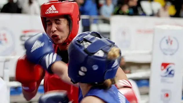 Başa alınan darbeler genlerde hasara neden oluyor