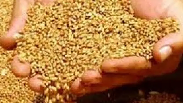 Konya'da hububat fiyatları