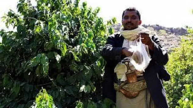 Kahve yeniden Yemen'den gelecek