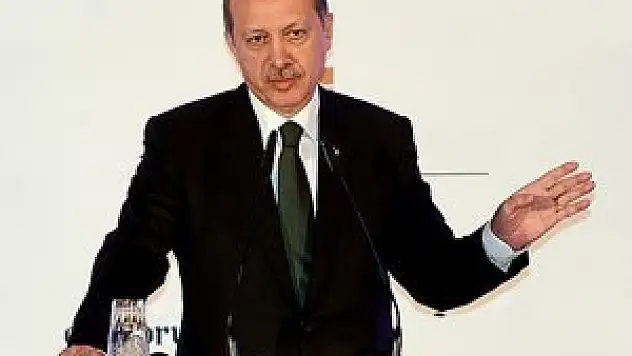 Belçika büyüklüğünde bir alanı ağaçlandırdık