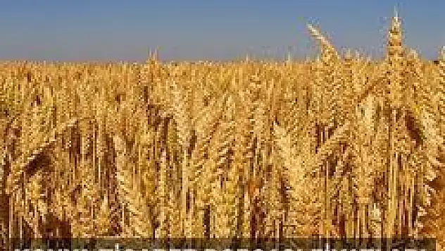 Konya Ticaret Borsası