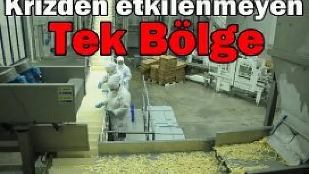 Patateste kriz Konya'ya uğramadı