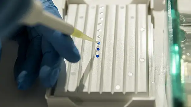 DNA onarımının kritik bileşeni bulundu