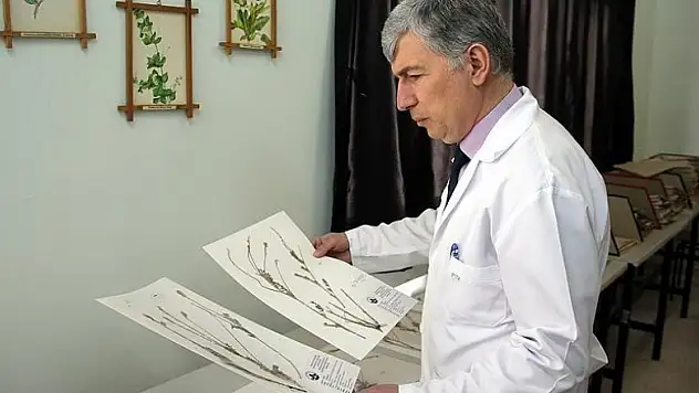 Askeri bölgede bulduğu bitkiye 'Mehmetçik' adını verdi