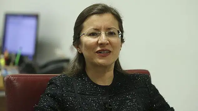 'Kazandığımız her diplomat Türkiye dostu olarak dönüyor'