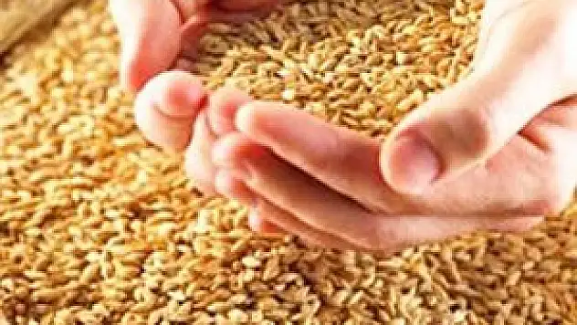 Konya'da hububat fiyatları