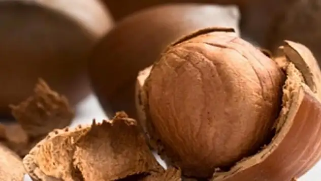 Şimdi de çiğ besin diyeti tehlikesi başladı