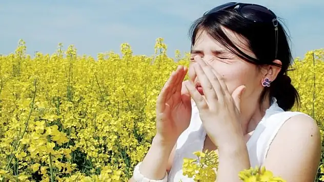 Alerji genetik yatkınlığı seviyor