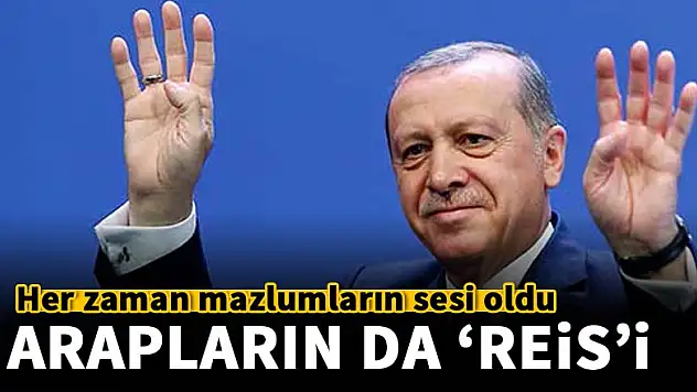 Erdoğan Arapların da 'Reis'i