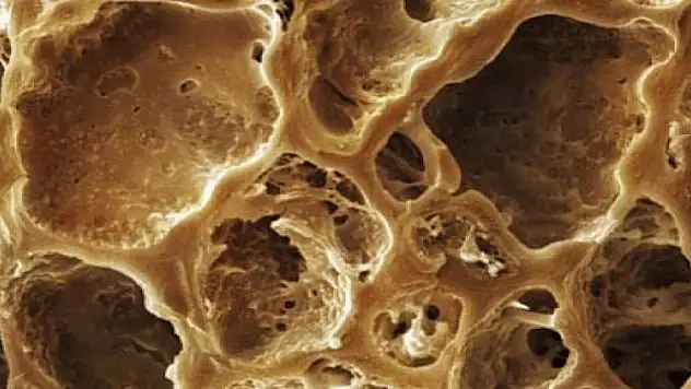 Ne olduğunu tahmin edebildiniz mi?