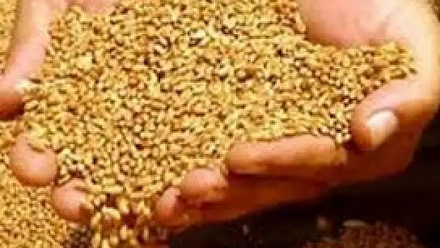 Konya'da hububat fiyatları