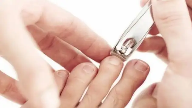 'Tırnak makasları Hepatit B virüsünü taşıyor'