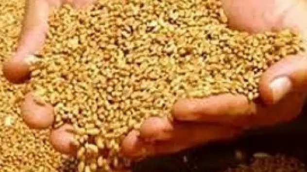 Konya Ticaret Borsası