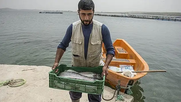 'Bozkır'dan deniz kentlerine balık satıyorlar