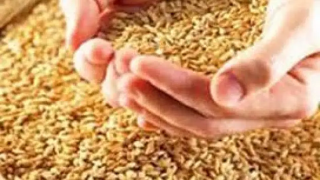 Konya'da hububat fiyatları