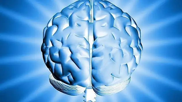 Tek bir hatıra için beynin uzak bölgelerini harekete geçiyor