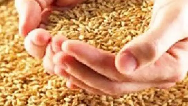 Konya'da hububat fiyatları