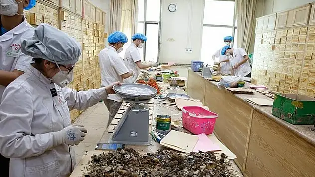 Geleneksel Çin tıbbı sağlık turizmine açılıyor