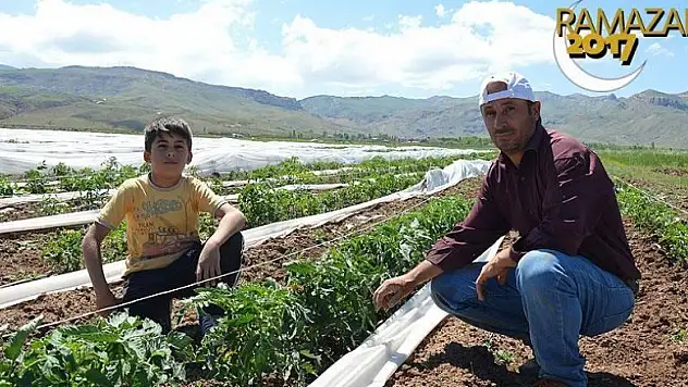 Ağrı Dağı eteğinde zorlu ramazan mesaisi