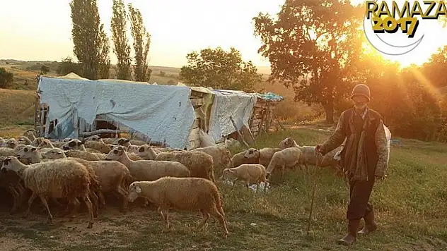 Çobanın iftarı da kırda sahuru da
