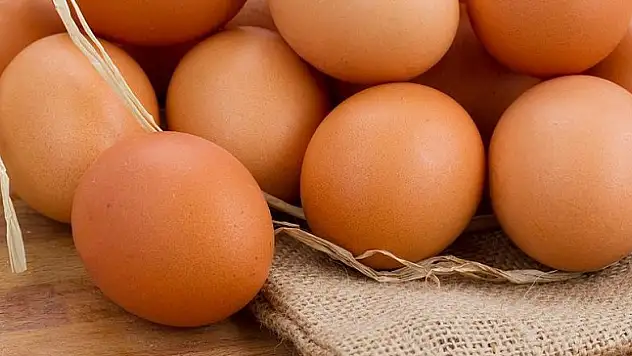 Günde bir yumurta boy uzatıyor