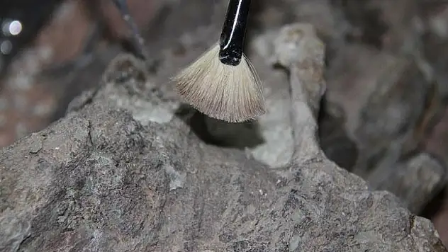 Fas'ta 300 bin yıllık insan iskeleti kalıntısı bulundu