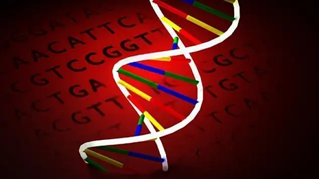 Genler gözden zihin okuma yeteneğini etkiliyor