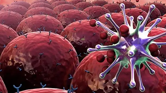 Kanseri araştırırken kansere yakalandı!