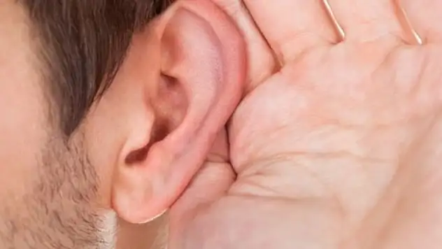 Kulağına sinek girdi, hayatı karardı