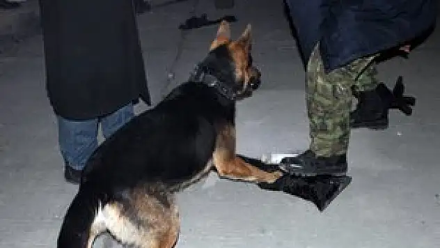 Ares, 3 kilo kubar esrar buldu!