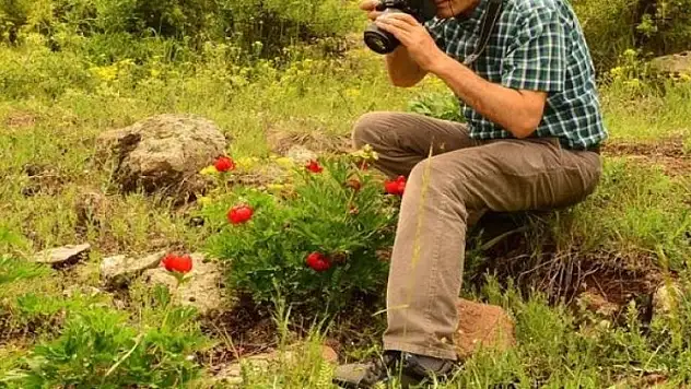 Bu çiçeği koparmanın cezası 42 bin TL